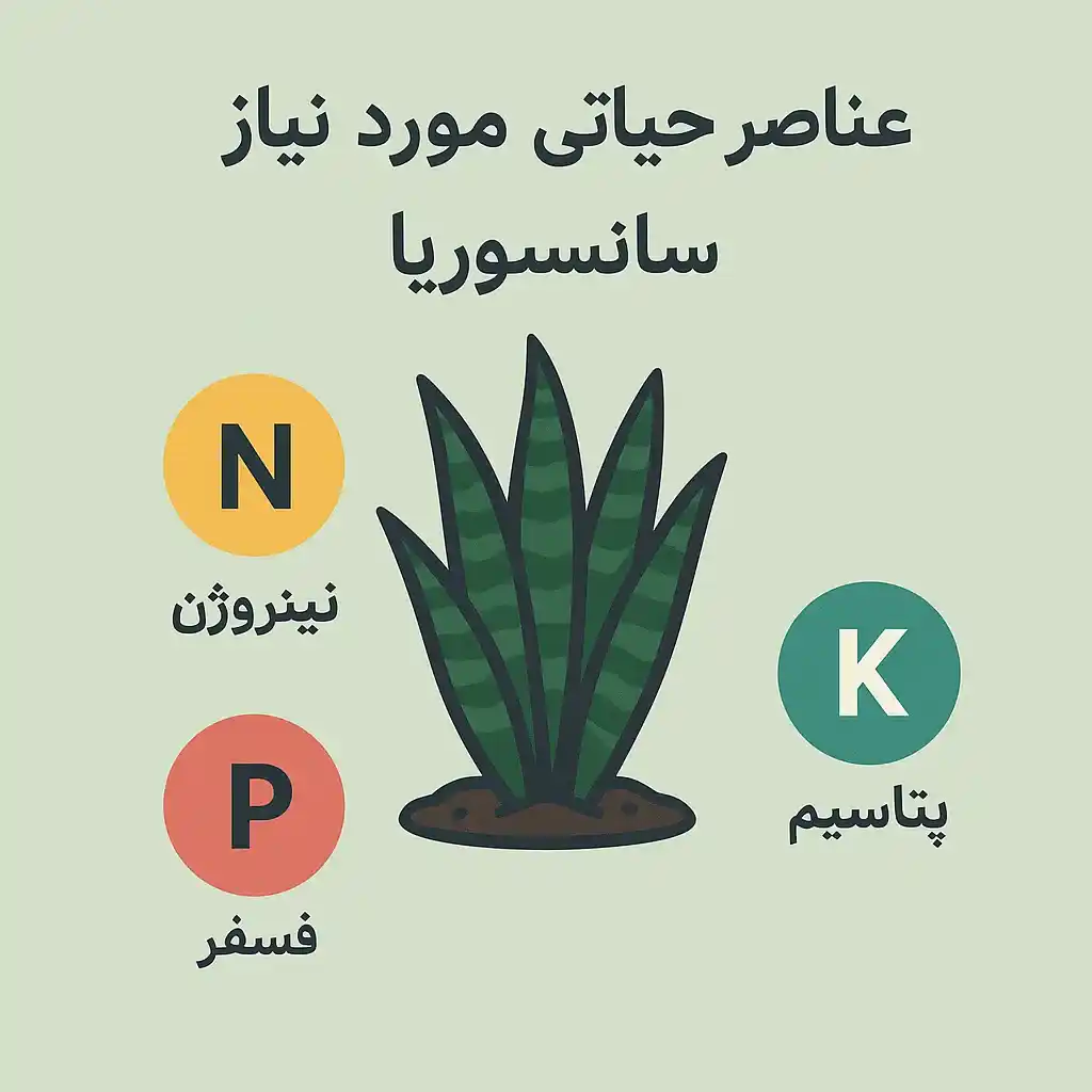 بهترین کود برای سانسوریا چیست؟ بهترین کود برای سانسوریا چیست؟