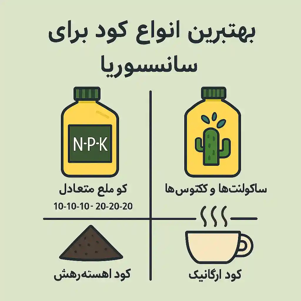 بهترین کود برای سانسوریا چیست؟ بهترین کود برای سانسوریا چیست؟