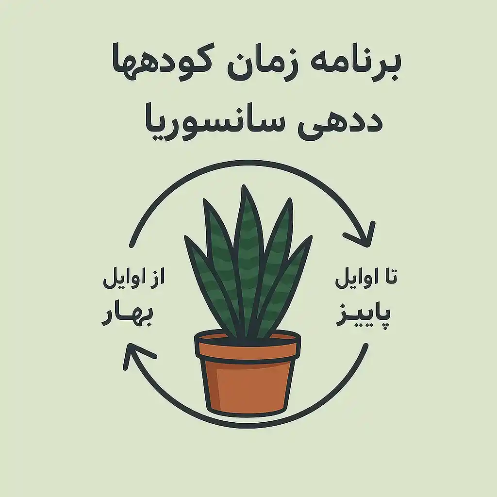بهترین کود برای سانسوریا چیست؟ بهترین کود برای سانسوریا چیست؟