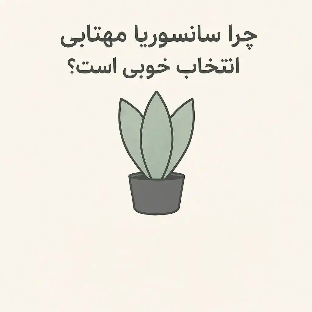 سانسوریا مهتابی | تفاوت انواع، روش نگهداری و راهنمای خرید ۲۰۲۵ سانسوریا مهتابی | تفاوت انواع، روش نگهداری و راهنمای خرید ۲۰۲۵